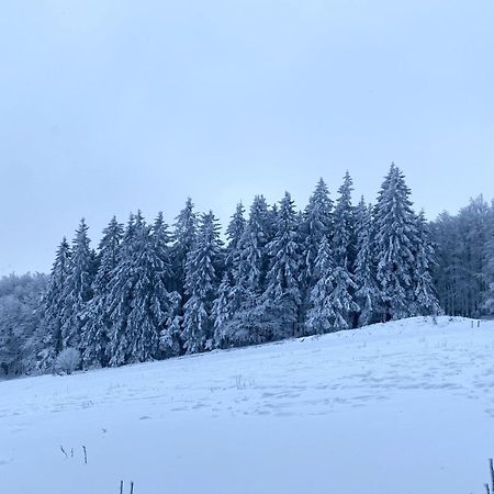 Le Chalet Du Hohwald מראה חיצוני תמונה