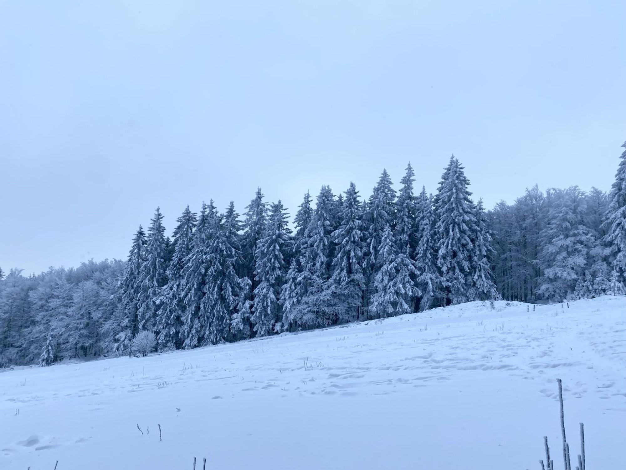 Le Chalet Du Hohwald מראה חיצוני תמונה